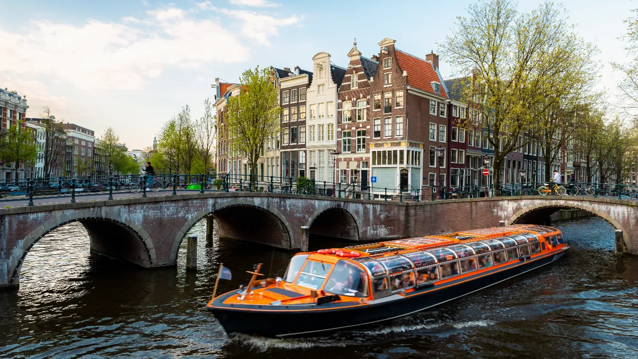 Cruise