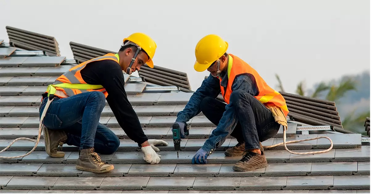 Roof Care Supports